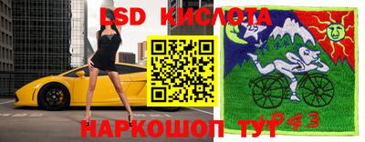 jwh Гатчина