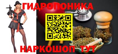 jwh Гатчина