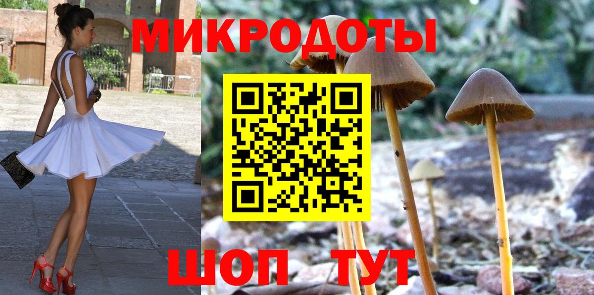 Балаково  Галлюциногенные грибы Cubensis  Вход с VPN 