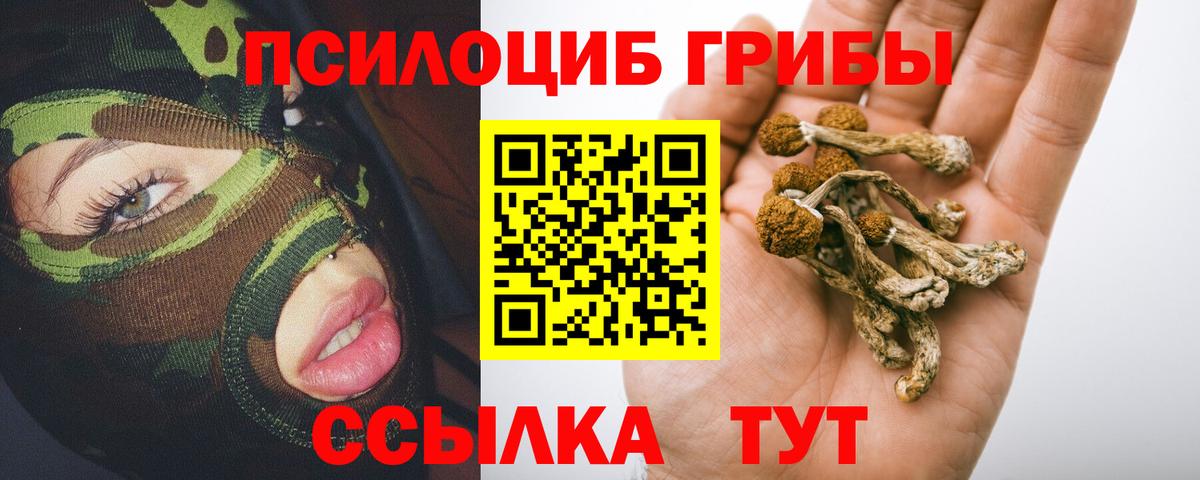Галлюциногенные грибы GOLDEN TEACHER Балаково