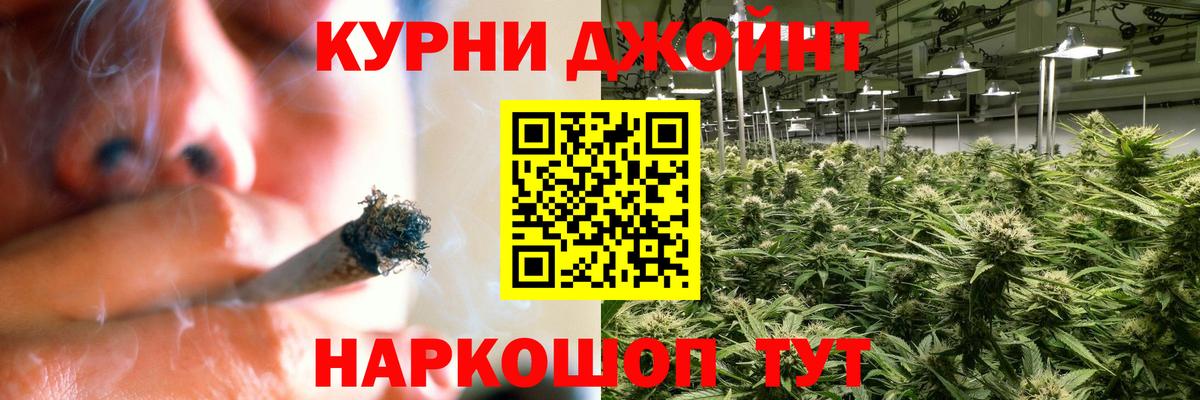 Конопля план Балаково